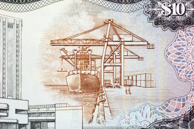 Trinidad ve Tobago 'nun parasından kargo dükkanı.