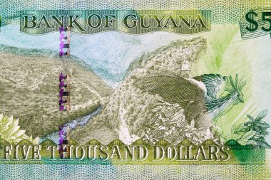 Guyana 'nın Yağmur Ormanları ve Ulusal Kuş Parası - Dolar