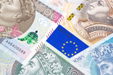 AB Vat vergisi - Polonya paralı belgeler - Zloty