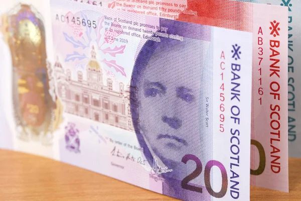 Шотландські Гроші Пес Бізнесу — стокове фото
