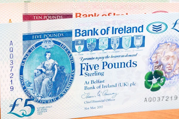 Irish money - Pounds a business background