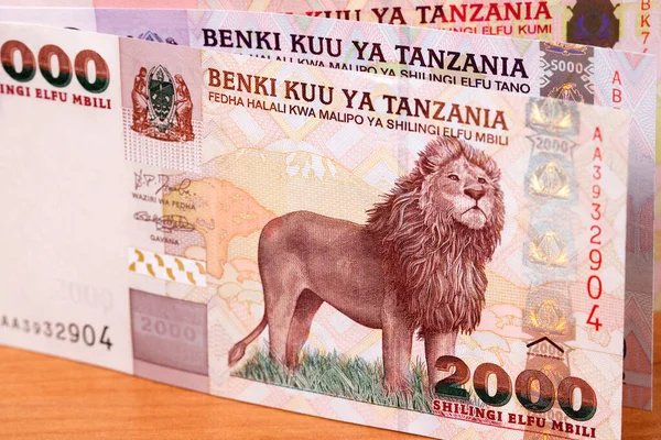 Oud Tanzaniaans Geld Shilling Van Een Zakelijke Achtergrond — Stockfoto