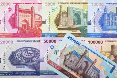 Özbekistan parası - iş geçmişi
