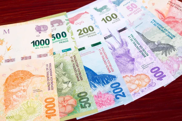 Argentijnse Geld Peso Een Zakelijke Achtergrond — Stockfoto