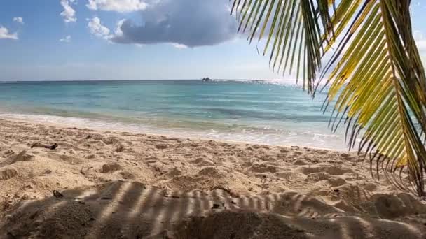 Oceano Caribe e folhas de palma na praia. — Vídeo de Stock