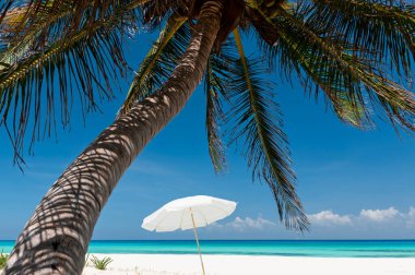 Tropik ülkelerde tatil kavramı. Sahilde şemsiye ve palmiye ağaçları. Arka planda Meksika 'daki Karayip Denizi