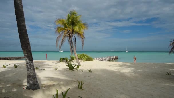 Meksika 'nın Mujeres Adası' ndaki tropik plaj. — Stok video