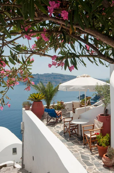 Terraço Com Flores Plantas Com Vista Para Caldeira Aldeia Oia — Fotografia de Stock