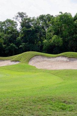 Meksika 'da tropikal ağaçları olan yeşil bir panorama kum sığınağı.