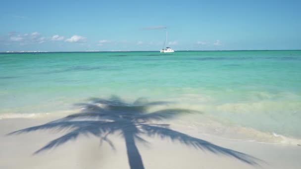 Sombra na praia uma palmeira junto ao mar — Vídeo de Stock