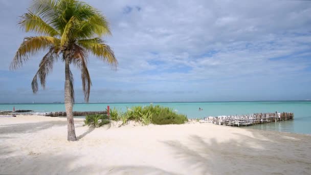 Tropikalna palma przeciwko błękitnemu niebu na karaibskiej plaży. — Wideo stockowe
