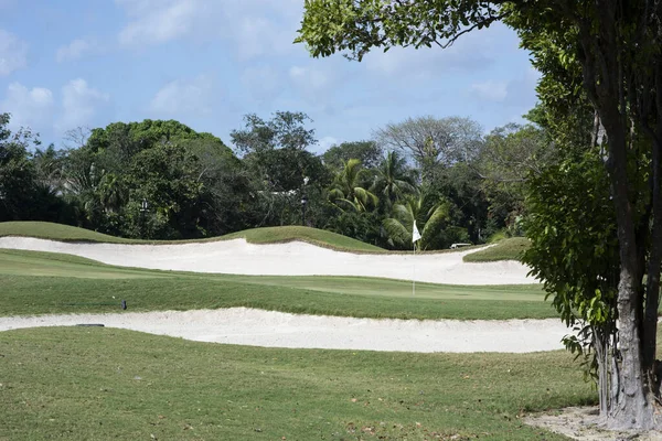 Yeşil golf sahası, yakın plan yeşil ve güzel golf sahası, Meksika.