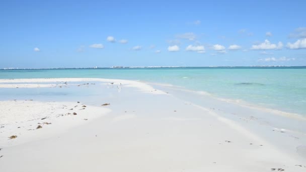 Real Time Video Seabirds Deserted Tropical Beach Blue Sky Isla — Stock Video