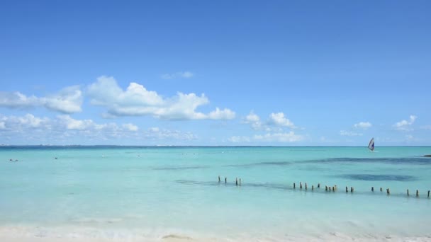 Windsurfer Sails Lagoon Tropical Island Mexico Isla Mujeres Beach — ストック動画