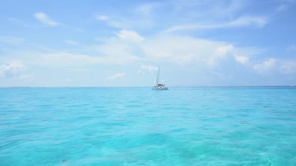 Meksika Cancun Kıyıları Yakınlarındaki Karayipler Berrak Sularında Yüzen Bir Katamaran — Stok video