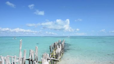 Sea waves breaking the ancient wooden poles. Isla Mujeres, Mexico. High quality FullHD footage
