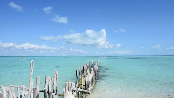 Sea Waves Breaking Ancient Wooden Poles Isla Mujeres Mexico High — ストック動画