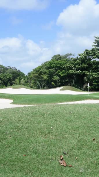 Vertical Video Golf Course Tropical Plants Background Mexico High Quality — Vídeo de stock