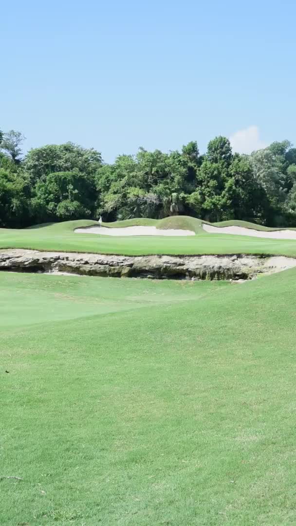 Two Golfers Green Final Shot Tropical Vegetation Background Vertical Footage — Vídeo de stock