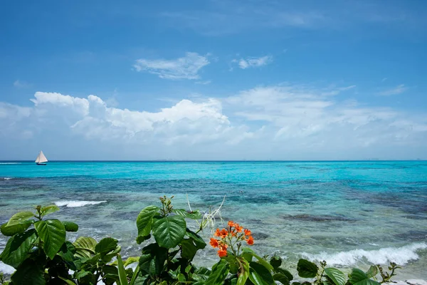 Panoramic View Tropical Sea Sailboat Sailing Blue Sky Mexico Selective — Fotografia de Stock