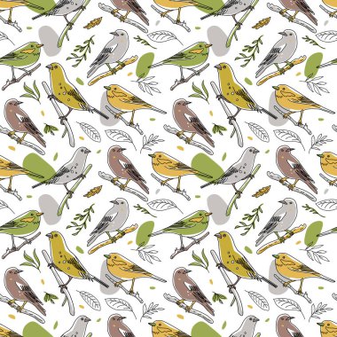 Kuş çizimi kusursuz desen. Sevimli el çizimi kuş resimleri koleksiyonu. Beyaz vektör resminde minimalizmde çizgi biçimi