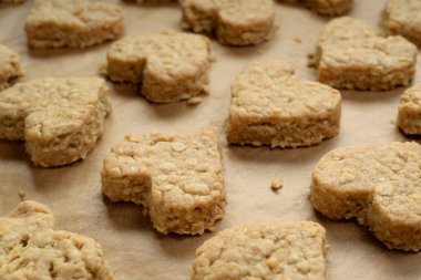 Kalp şeklindeki organik kurabiyeler, yulaf ezmesi, hecelenmiş un, tereyağı ve yumurta. Fırından yeni çıkmış, hala fırın tepsisinin üstünde, kağıt fırınında..