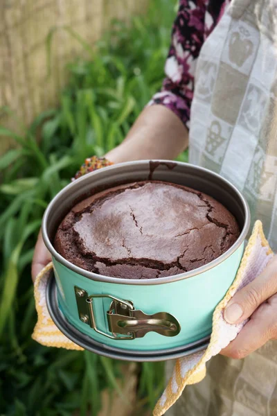 Female Hands Holding Chocolate Pound Cheese Cake Spring Form Woman — Foto de Stock