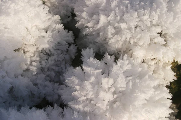 雪晶的宏观纹理 — 图库照片