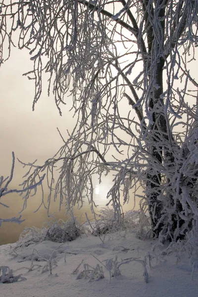 Zimowy Krajobraz Mglisty Poranek Nad Rzeką Wschodzie Słońca — Zdjęcie stockowe
