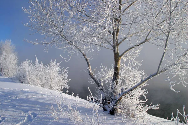 Χειμερινό Τοπίο Ομιχλώδες Πρωινό Στο Ποτάμι Την Ανατολή Του Ηλίου — Φωτογραφία Αρχείου