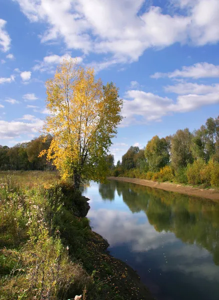 Indian Summer River Forest Landscape — Stock Photo, Image