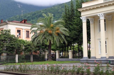 Deniz kenti Gagra 'nın şehir manzarası yaz bulutlu bir gün.