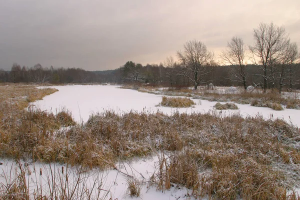 Landschap Weide Buurt Van Het Bos Bedekt Met Eerste Sneeuw — Stockfoto