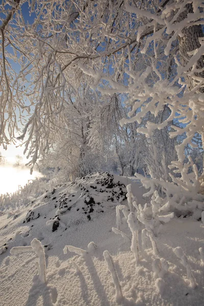 Una Lunga Passeggiata Lungo Fiume Inverno — Foto Stock