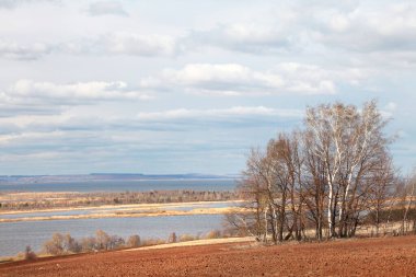 Ormanda ve tarlalarda uzun sonbahar yürüyüşü