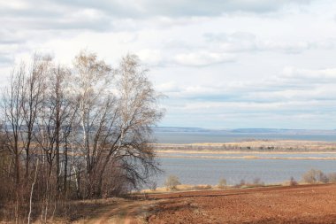 Ormanda ve tarlalarda uzun sonbahar yürüyüşü