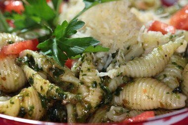 Makro iştah açıcı makarna kabukları ürünleri studio bir dizi arka planı