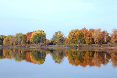 Rengarenk ağaçların sonbahar manzarası bulutlu bir günde sakin nehrin aynalı yüzeyine yansıyor.
