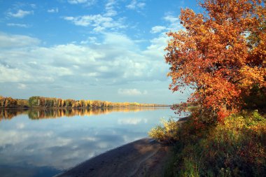 Renkli ağaçların sonbahar manzarası sakin nehrin yansıyan yüzeyine yansıyor.