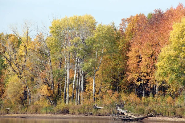 Paesaggio Autunnale Alberi Colorati Riflessi Nella Superficie Specchiata Del Fiume — Foto Stock