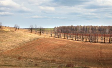 Uçsuz bucaksız Rus tarlalarında bahar yürüyüşü