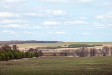 Uçsuz bucaksız Rus tarlalarında bahar yürüyüşü