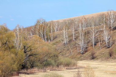 Uçsuz bucaksız Rus tarlalarında bahar yürüyüşü