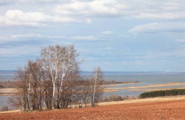 Ormanda ve tarlalarda uzun sonbahar yürüyüşü