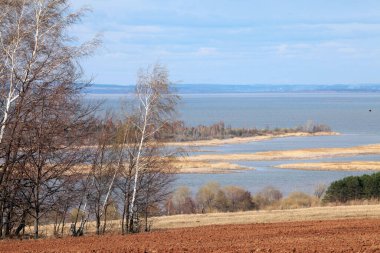 Ormanda ve tarlalarda uzun sonbahar yürüyüşü