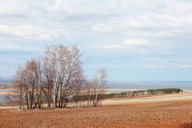 Ormanda ve tarlalarda uzun sonbahar yürüyüşü