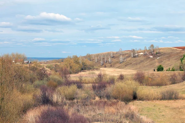 Spring Walk Spacious Russian Fields — Stock Photo, Image
