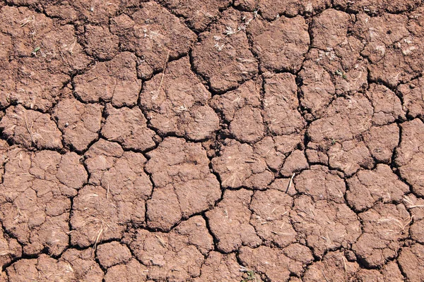 Makrostruktur Der Trockenen Rissigen Erde Zeitigen Frühling Tageslicht — Stockfoto