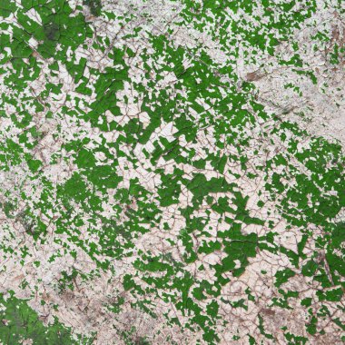 Eski harap duvarın yeşil-beyaz boyalı makro izole parçası