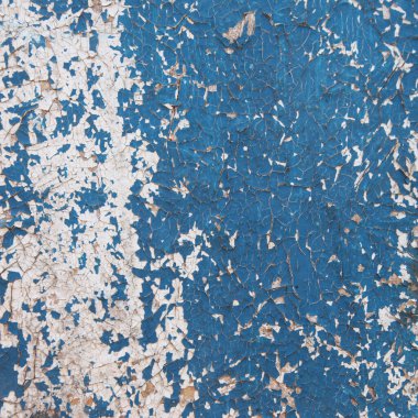 Eski harap duvarın beyaz ve maviye boyanmış makro izole edilmiş parçası.